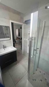 un bagno con doccia in vetro e lavandino di La Cité Guillemaud 1930, parking, balcon et wifi a Vienne