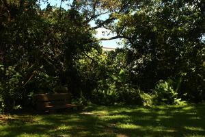 Billede fra billedgalleriet på Victorian House i San Isidro