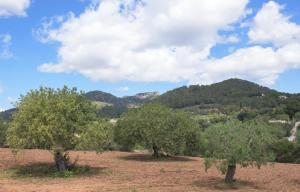 Príroda v okolí vily