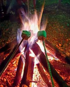 two hot dogs are cooking on a fire at ANCESTRAL GLAMPING in Barbosa +81 photos