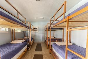 a room with three bunk beds in a dorm room at Earth Haus in Fourth Crossing