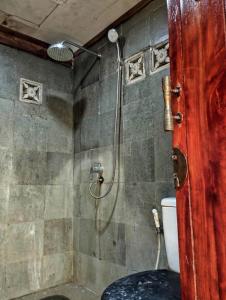 Aik BerikにあるPondok Tioのシャワーとトイレ付きのバスルーム