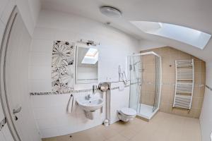 uma casa de banho com um WC com lavatório e um chuveiro em Cuba Bar & Hostel em České Budějovice