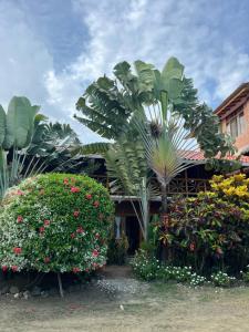 Giardino di Victor Hugo Hotel