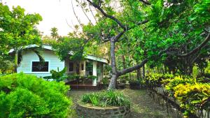a house with a tree in the front yard at La Paloma Hostal in Moyogalpa