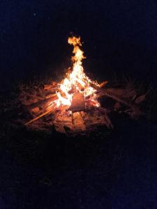 Gallery image of 3BR Air-conditioned Bamboo House at Humming Strawberry Farm in Bagabag