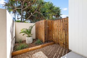 9-226 David Low Way Peregian Beach外面的花园