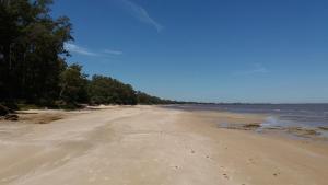 an empty beach with trees on the shore at Hermosa Cabaña tinny cálida y muy equipada in Santa Ana +17 photos