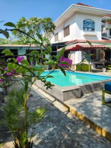 Bazén v ubytování Serendipity Experience Hoi An Hostel nebo v jeho okolí