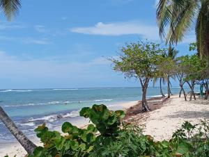 a beach with palm trees and the ocean at Villa Ludger-Rose in Le Moule
