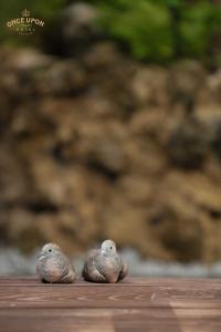 Billede fra billedgalleriet på Once Upon a Hotel Pattaya i Ban Nong Chap Tao