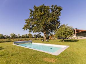 ポール・サン・ペールにあるStudio Jungle avec terrasse et piscine chauffée près de Nantes - FR-1-306-1304の木の畑のスイミングプール