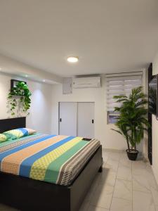 a bedroom with a bed and a potted plant at Apartamento Vista azul RODADERO edificio mara 502 in Gaira