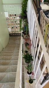 Fotografie z fotogalerie ubytování Chaudhry Second Floor Single Suite v destinaci Montego Bay