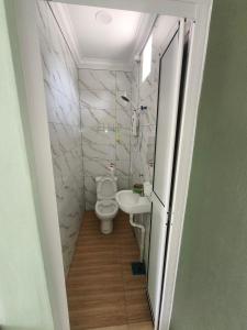 Vannituba majutusasutuses Sialang Damai Inn
