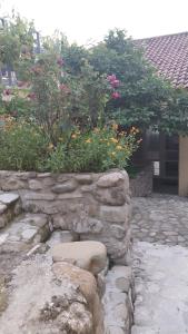 Foto sihtkohas Signagi asuva majutusasutuse VIGOR galeriist