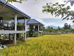 a house in the middle of a field at Baksaei Retreat Ricefield Villas in Kampot
