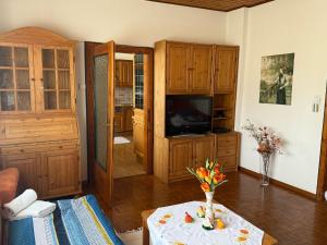 a living room with a television and a table with flowers at Apartment Anna - Austrian country house in Marchfeld im Weinviertel in Marchegg