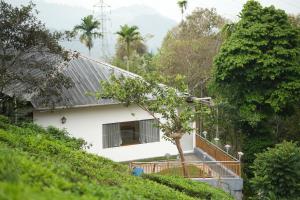 a white house with a tree in front of it at Misty Bush Munnar in Munnar