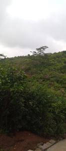 バガモンにあるDeva Holiday Homeのギャラリーの写真 +9枚の写真