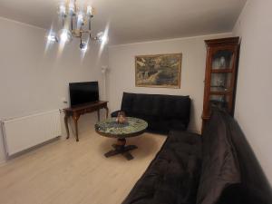 ein Wohnzimmer mit Sofa und Tisch in der Unterkunft Apartamentai AGNIJA in Kretinga