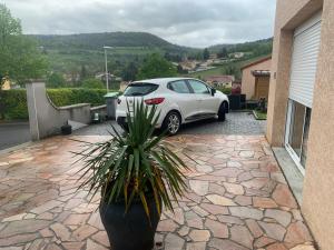 a car parked in a driveway with a potted plant at Appartement douillet in Mirefleurs