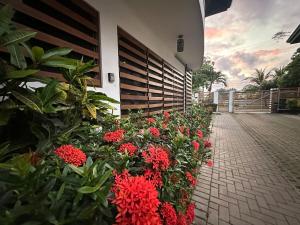 Gallery image of Coconut House Rincon de Bejuco in Parrita