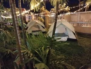 two tents in a yard with palm trees at night at Bintang Haven in Tawau +6 photos