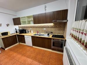 a kitchen with a sink and a stove top oven at Pensiunea Doina Sacele in Săcele