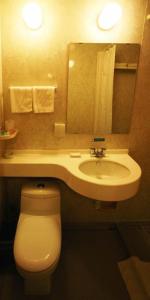 a bathroom with a toilet and a sink and a mirror at Jinjiang Inn Wuhan Optical Valley Finance Habour in Wuhan