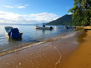a group of boats sitting in the water on a beach at Masoala bungalows in Maroantsetra