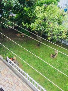 a garden with rocks on the grass and a fence at Villa Rocca - appartamento 3 in Borgio Verezzi +5 photos