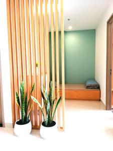 two plants in white pots in a room at LK Homestay S218 in Gia Lâm Pho