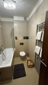 a bathroom with a tub and a toilet and a sink at Apartmány Timea B 201 in Veľká Lomnica +20 photos