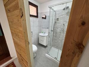 łazienka z prysznicem, toaletą i umywalką w obiekcie Villa Gioia relax immersi nel verde w mieście Aiello del Sabato +29 zdjęć