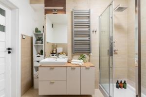une salle de bain avec un lavabo et une douche dans l'établissement Vistula Suite l A Lovely Place to Be, à Cracovie 28 autres photos