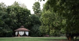 Zahrada ubytování Aahana Resort - Jim Corbett