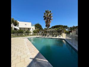 una piscina con recinzione e palma di La Piscine - Appt pour 6 climatisé avec piscine a LʼÎle-Rousse