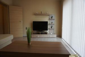 TV a/nebo společenská místnost v ubytování Rooms and Apartment Soča Kobarid