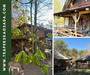 a collage of pictures of a cabin and a horse at Agroturystyka Traperska Osada in Potasze