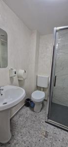 a bathroom with a toilet and a sink and a shower at Motel Mesterul Manole in Curtea de Argeş