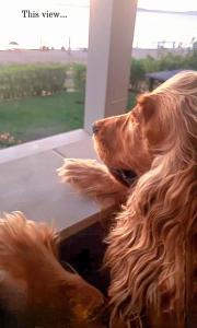 イエリソスにあるVilla Dreamのギャラリーの写真 +4枚の写真