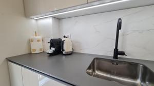 Il comprend une cuisine équipée d'un évier et d'un grille-pain. dans l'établissement Navas PentHouse 301 By Florentia Homes, à Grenade