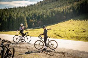 Jazda na bicykli v okolí ubytovania Großes Ferienhaus mit 5 Schlafzimmer & 4 Bäder