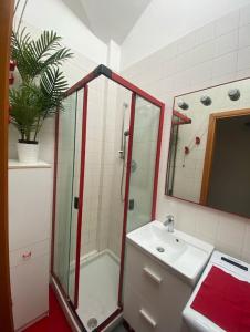 a bathroom with a shower and a sink and a mirror at Casa Mirtillo in Turin