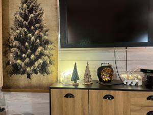 TV a/nebo společenská místnost v ubytování Appartement ambiance chalet Avoriaz + 37 fotografií