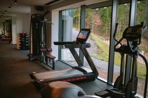 Fitness centrum a/nebo fitness zařízení v ubytování Hotel Nomad