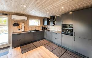 a kitchen with stainless steel appliances and a wooden ceiling at Stunning Home In Sjusjøen With Sauna in Sjusjøen +21 photos