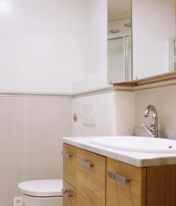 een badkamer met een wastafel, een toilet en een spiegel bij Loft and Palma Apartments in Koper