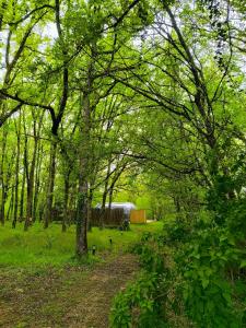 a path in a field with trees and a building at Bulle Love Passion & Spa in Escamps +4 photos